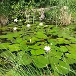 Zum Spaal By Interhome *