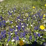 公寓 Zum Spaal By Interhome *