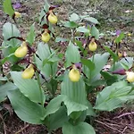 Zum Spaal By Interhome Neusitz (Saalfeld-Rudolstadt)