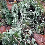 Zum Spaal By Interhome * Neusitz (Saalfeld-Rudolstadt)