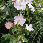 公寓 Zum Spaal By Interhome Neusitz (Saalfeld-Rudolstadt)