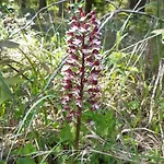 Zum Spaal By Interhome Neusitz (Saalfeld-Rudolstadt)