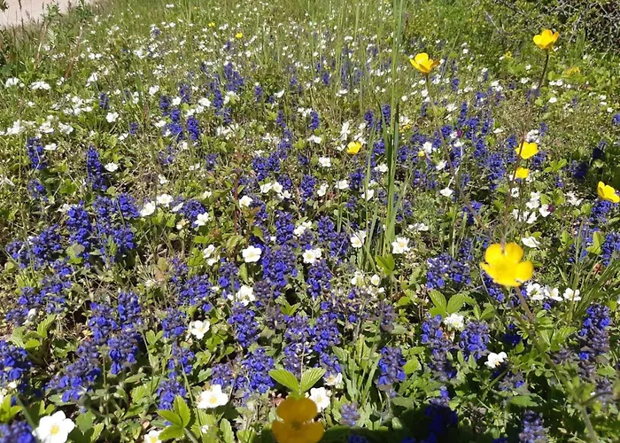 Daire Zum Spaal By Interhome *