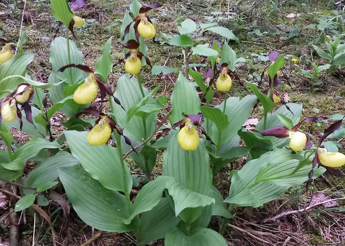 Zum Spaal By Interhome Neusitz (Saalfeld-Rudolstadt)