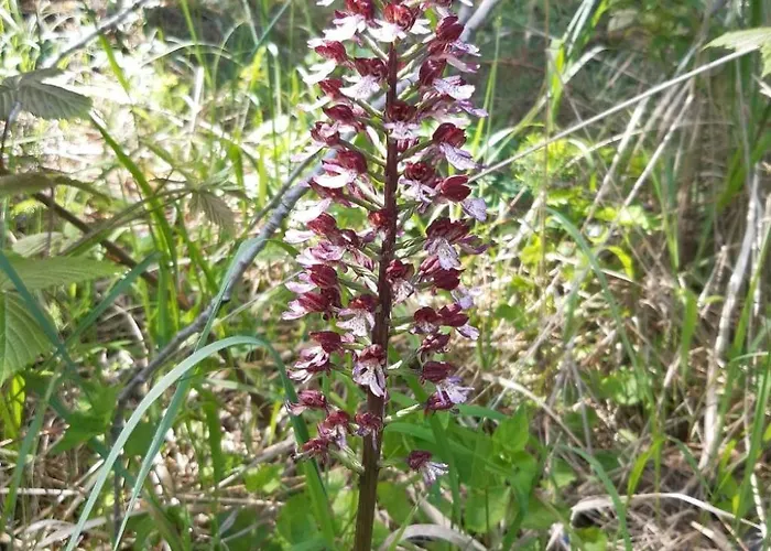 Zum Spaal By Interhome Neusitz (Saalfeld-Rudolstadt)